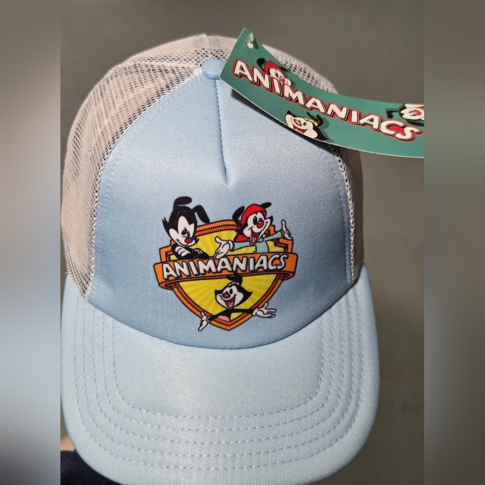 NWT Animaniacs Cartoon Warner Bros Trucker Mesh Light Blue Flat Snapback Hat
